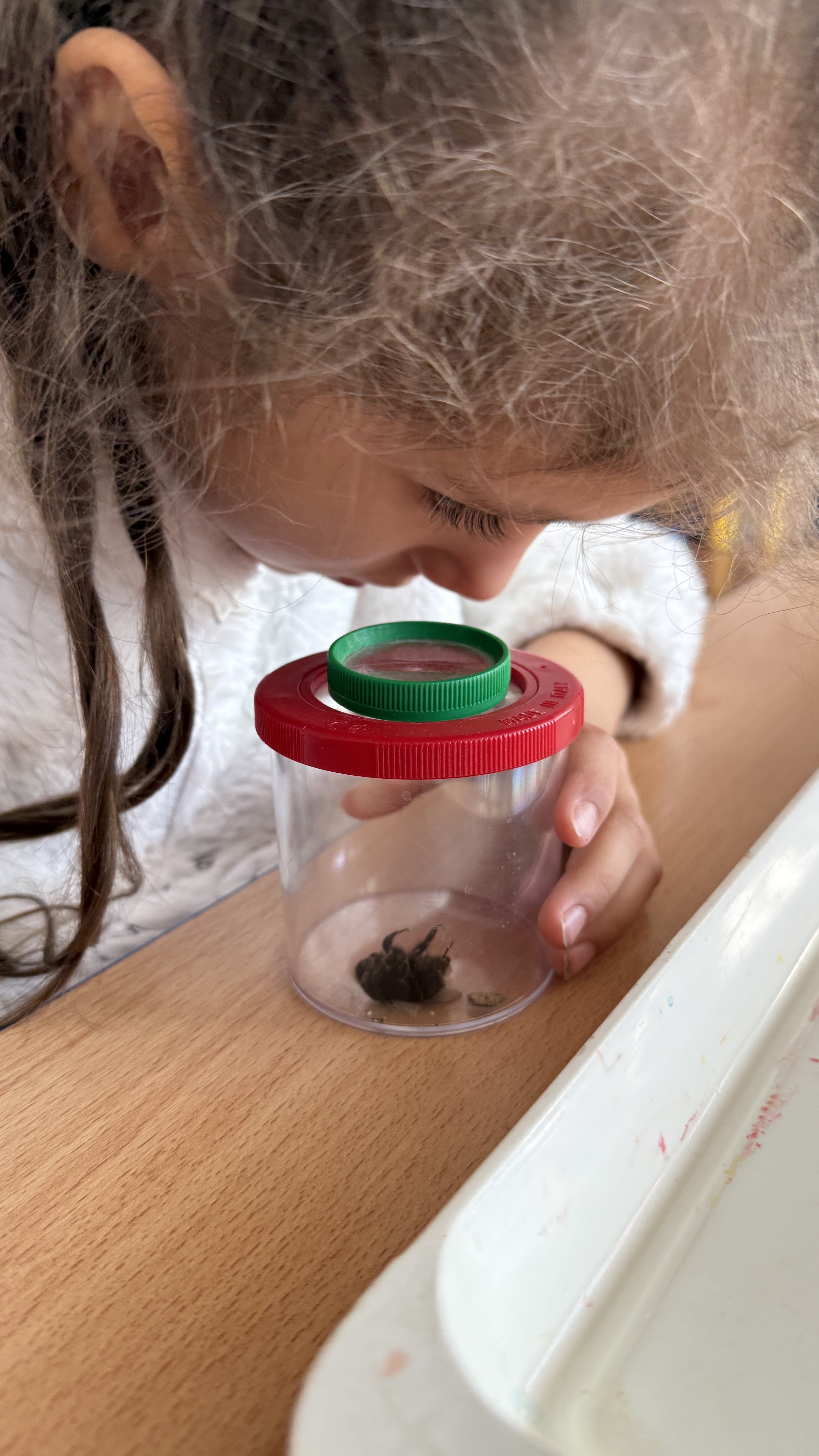 Téma povolání a profese v přípravné třídě