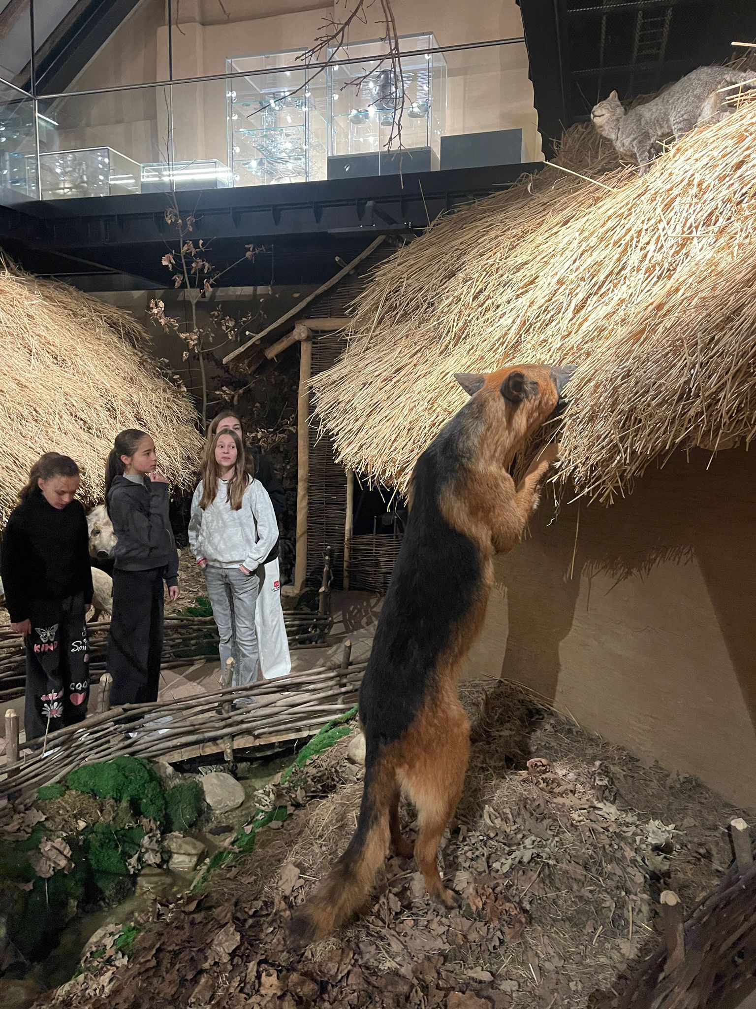 Rozhýbej Neolit! – Pravěk v pohybu