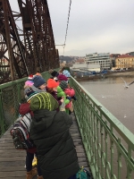 Ptáci na Vltavě